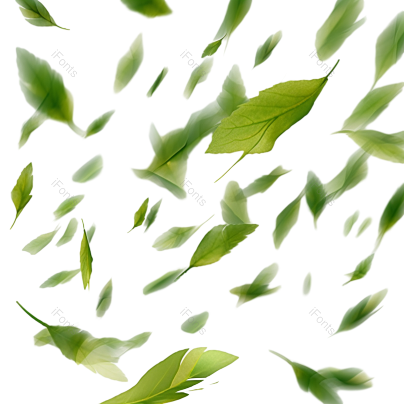 清新图片,动感元素,装饰树叶PNG,绿叶免抠素材